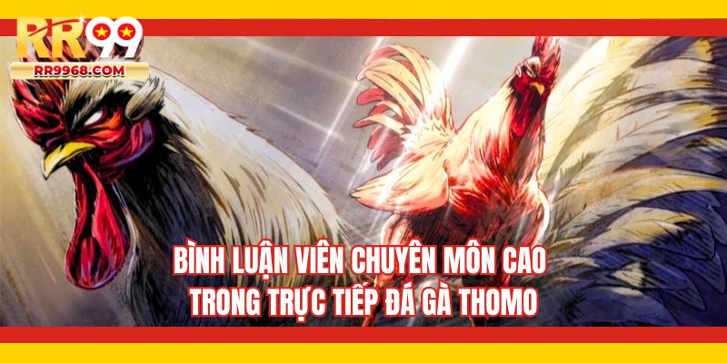 Bình luận viên chuyên môn cao trong trực tiếp đá gà Thomo